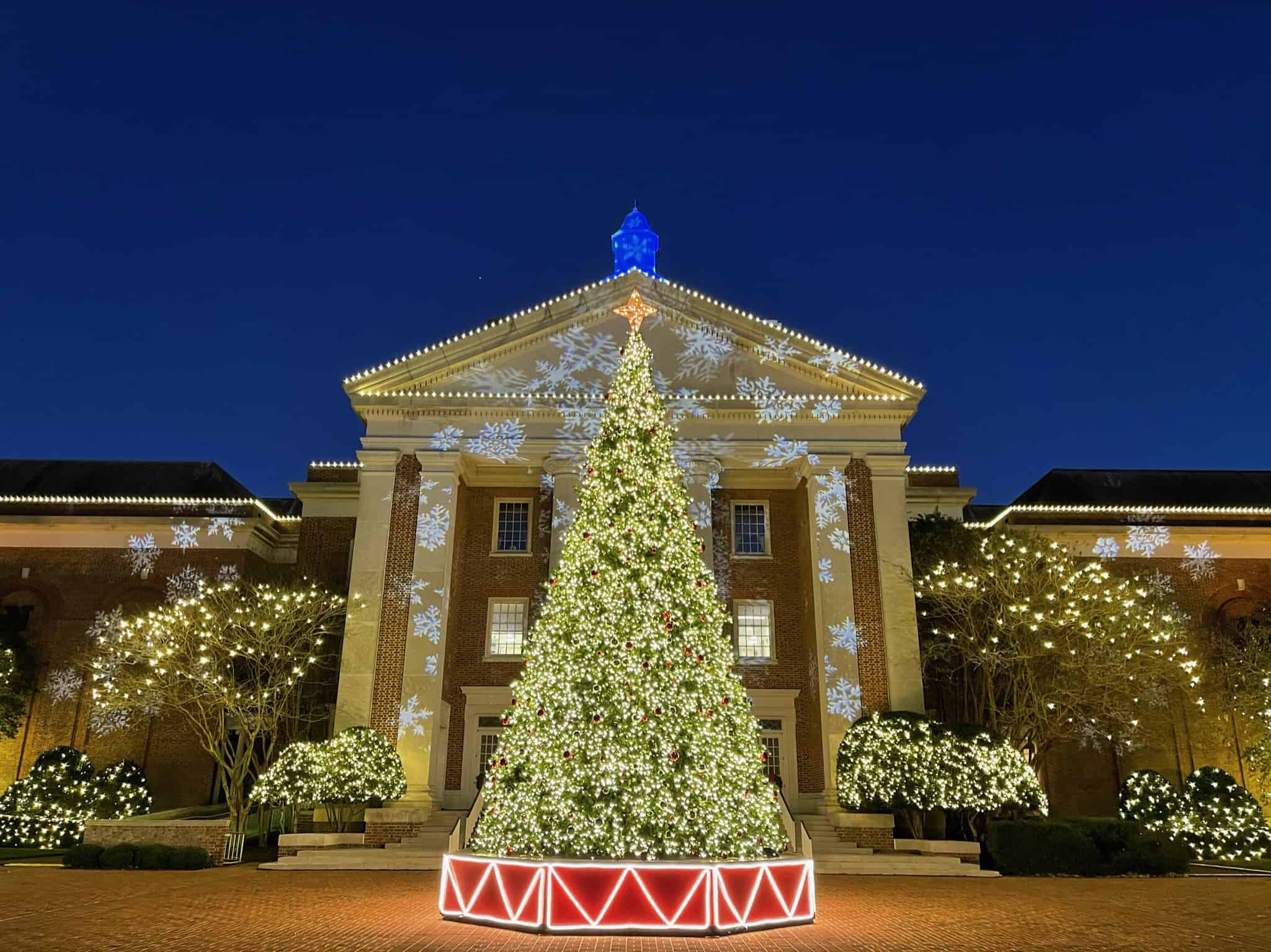 large exterior christmas tree with white lights